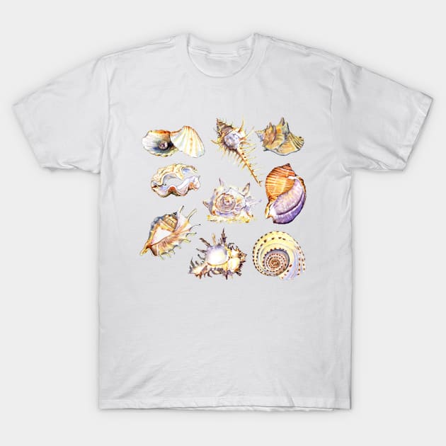 shell set watercolor illustration T-Shirt by victoriazavyalova_art